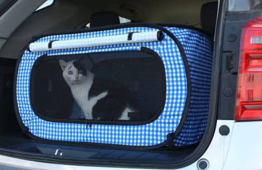 Double-Check That The Pet Carrier Is Zipped All The Way Up @amazon/Pinterest
